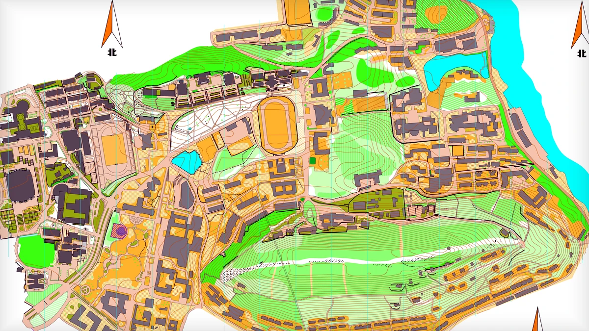 武汉大学 orienteering map preview